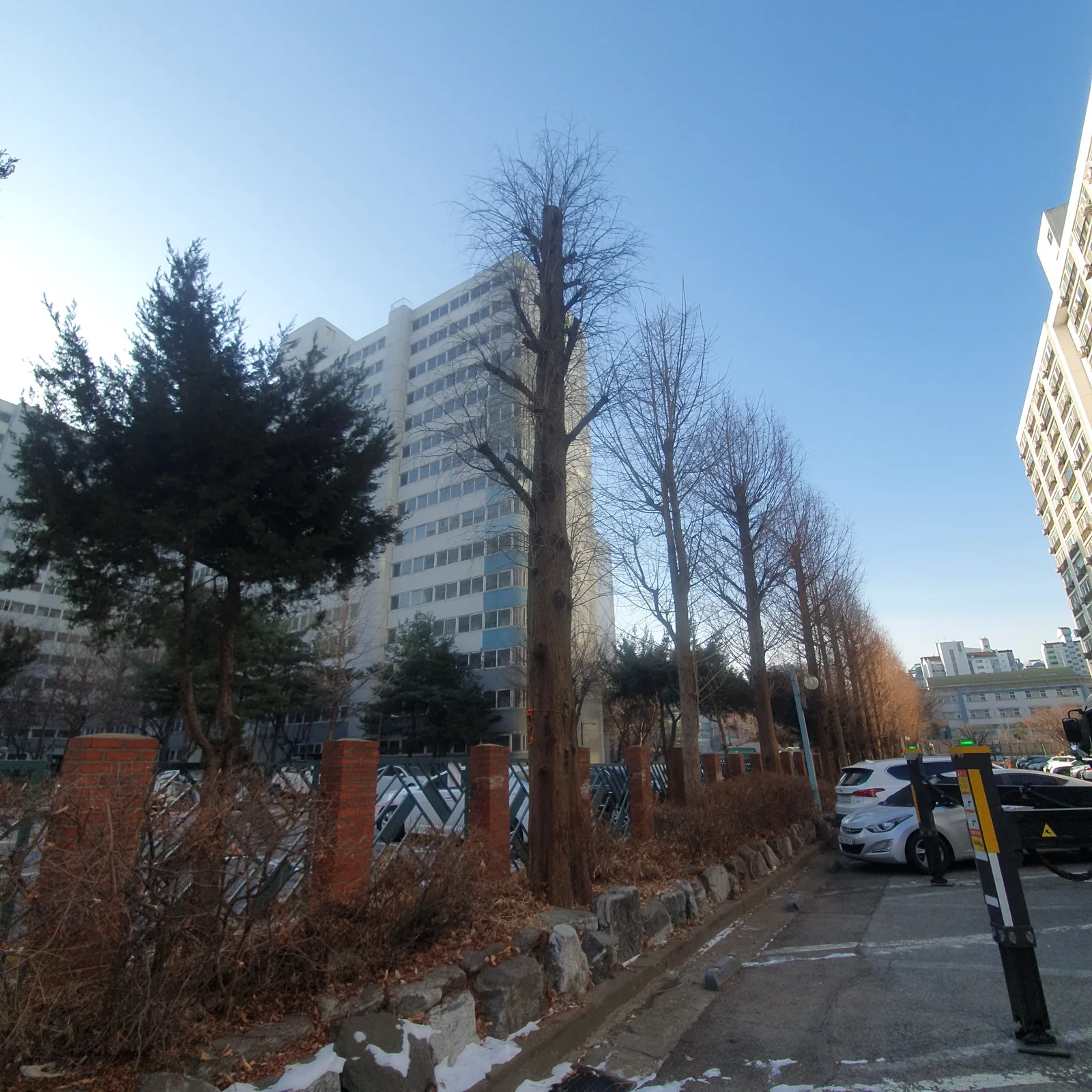 아파트 단지 가로수·조경수 정비 현장 — 이른 시간 입주민 불편 최소화